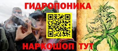ГАЛЛЮЦИНОГЕННЫЕ ГРИБЫ Кулебаки