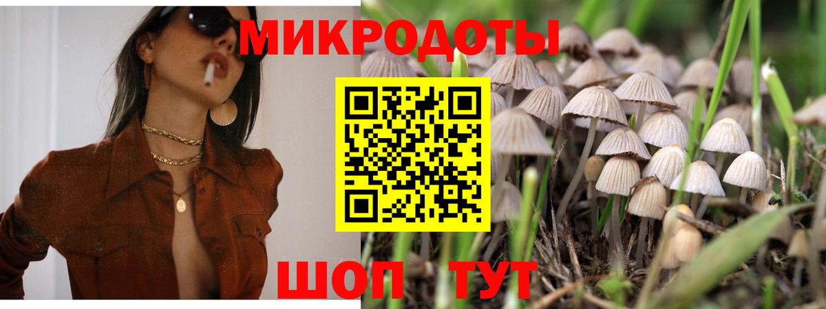 Псилоцибиновые грибы Psilocybe  сколько стоит  Городец  Псилоцибиновые грибы мицелий  Вход с VPN 